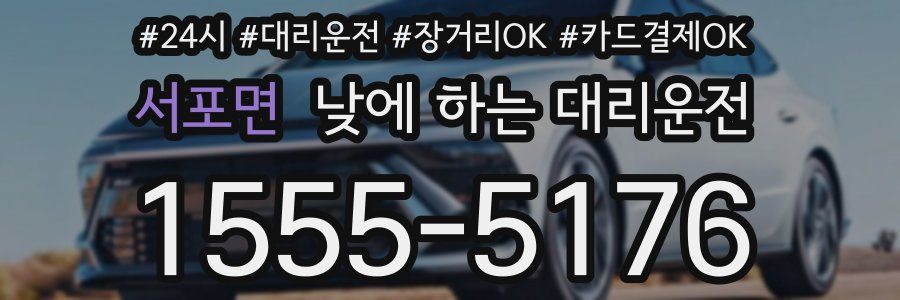 서포면 낮에 하는 대리운전