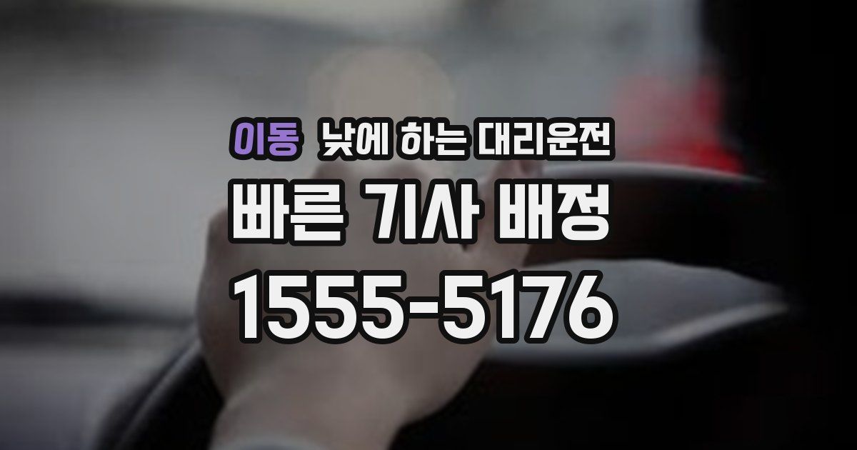 이동 낮에 하는 대리운전