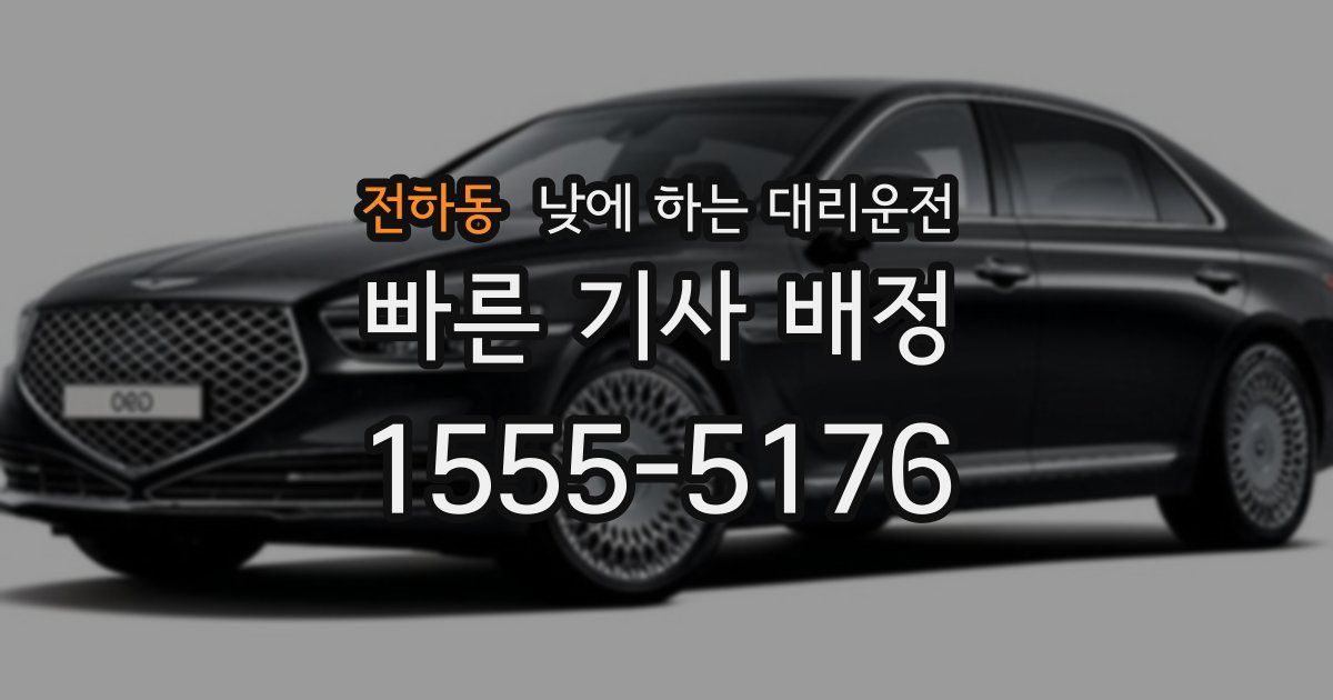 전하동 낮에 하는 대리운전