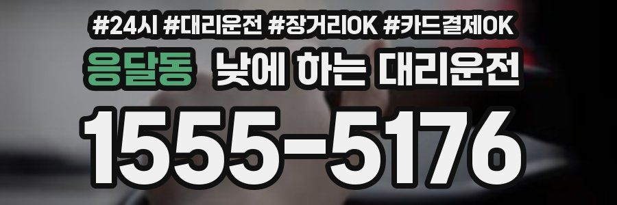 응달동 낮에 하는 대리운전