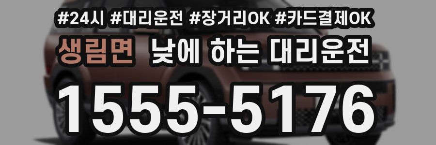 생림면 낮에 하는 대리운전