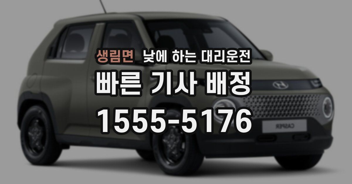 생림면 낮에 하는 대리운전