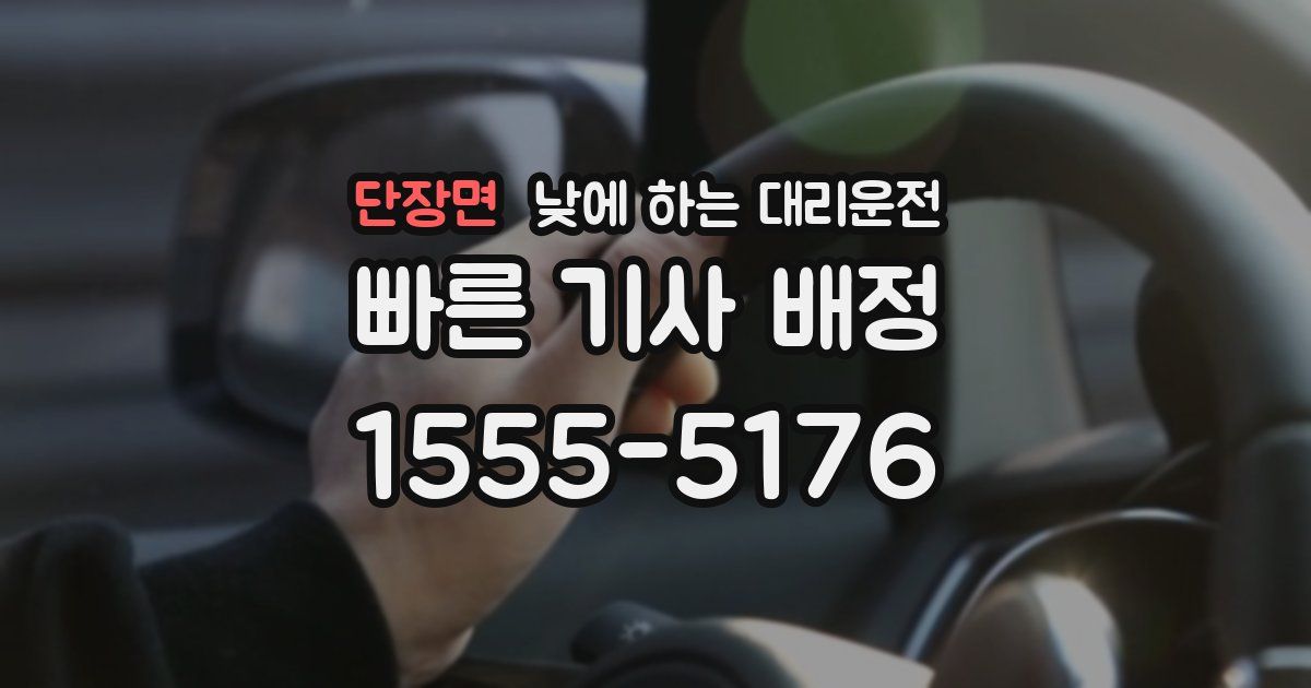 단장면 낮에 하는 대리운전