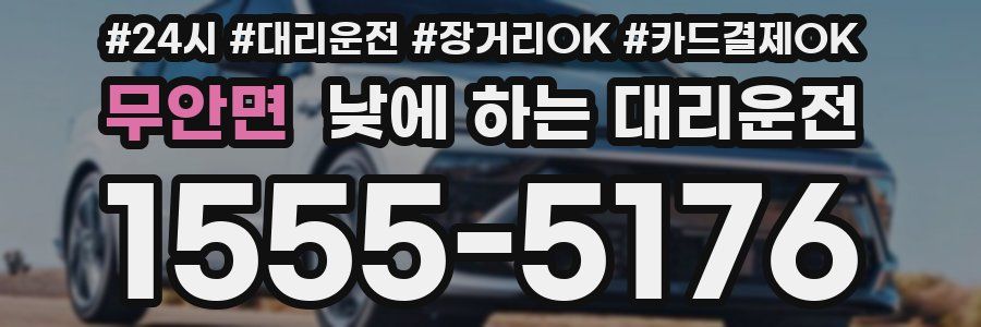 무안면 낮에 하는 대리운전