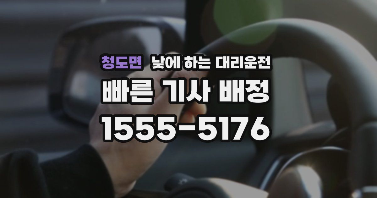 청도면 낮에 하는 대리운전