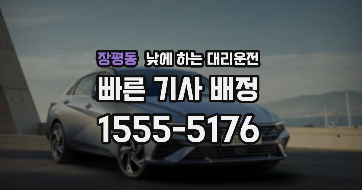 장평동 낮에 하는 대리운전