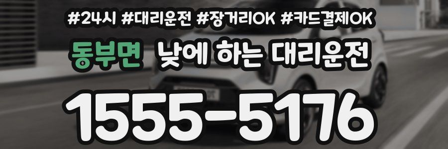 동부면 낮에 하는 대리운전