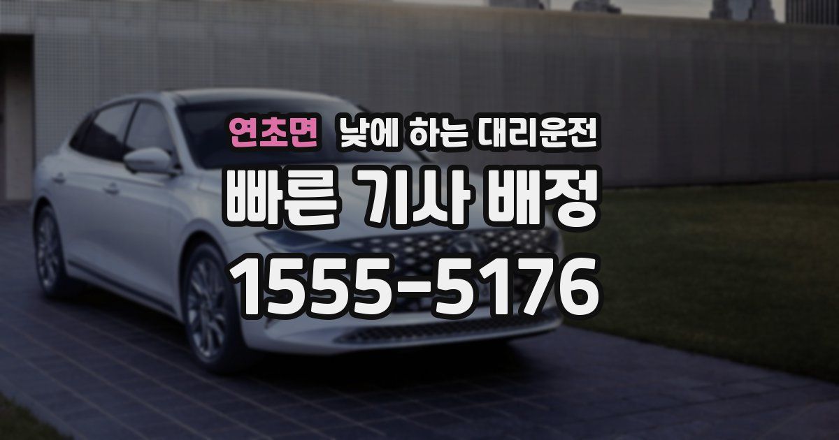 연초면 낮에 하는 대리운전