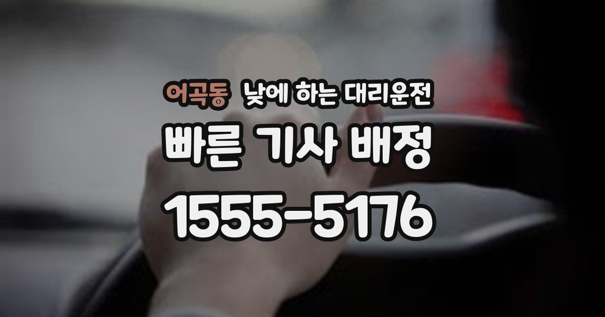 어곡동 낮에 하는 대리운전