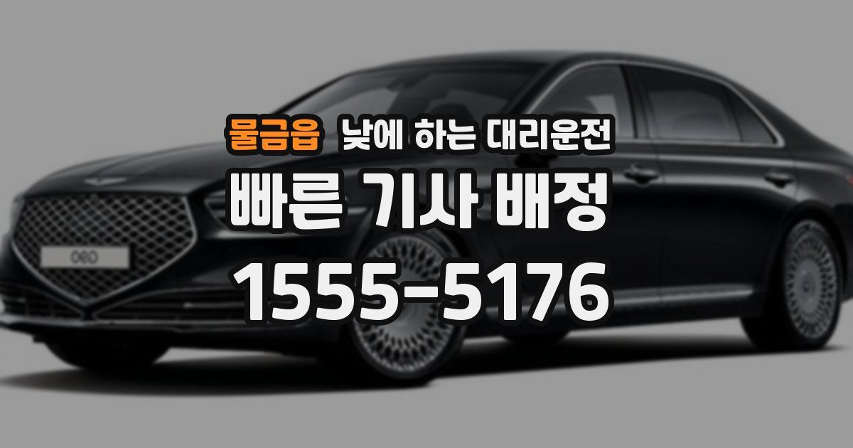 물금읍 낮에 하는 대리운전