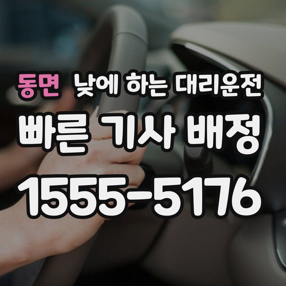 동면 낮에 하는 대리운전 반려동물 동승 시 미리 알려야 하는 이유