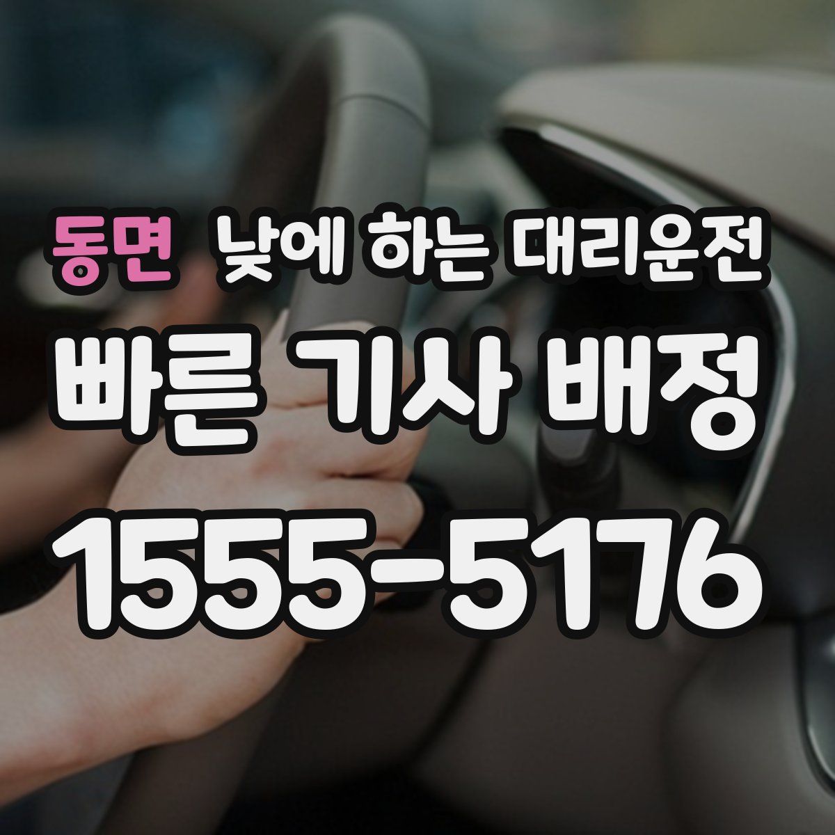 동면 낮에 하는 대리운전