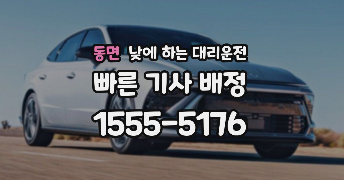 동면 낮에 하는 대리운전