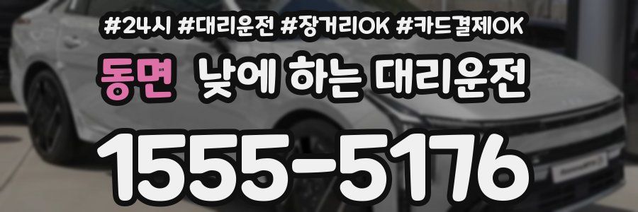 동면 낮에 하는 대리운전