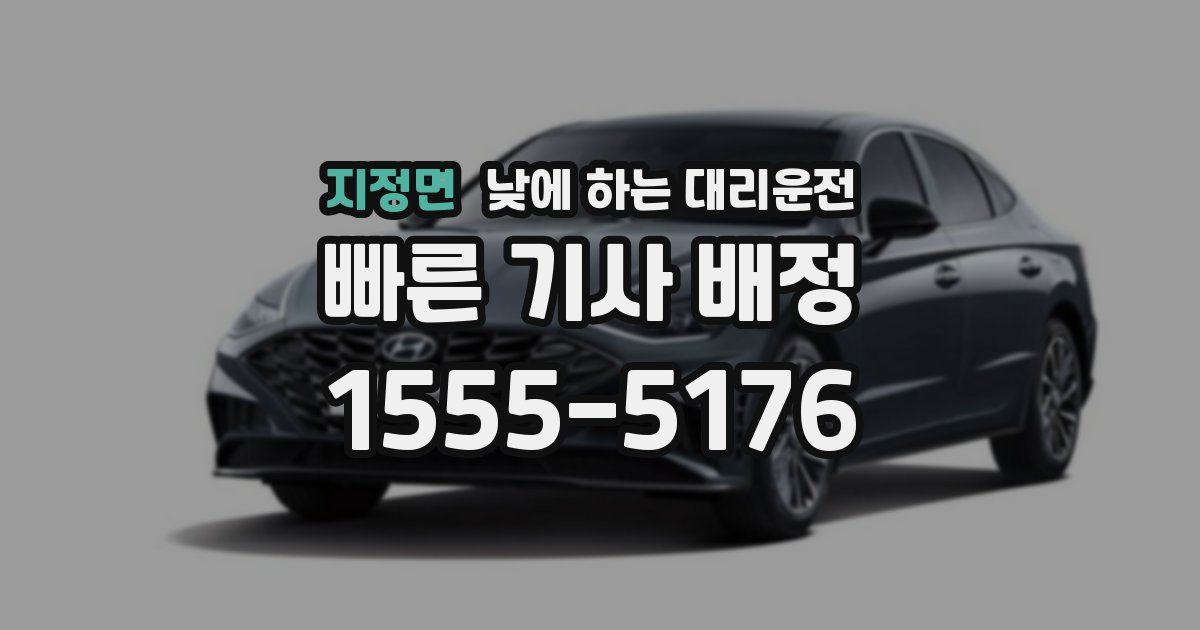 지정면 낮에 하는 대리운전