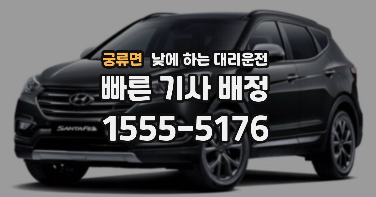 궁류면 낮에 하는 대리운전