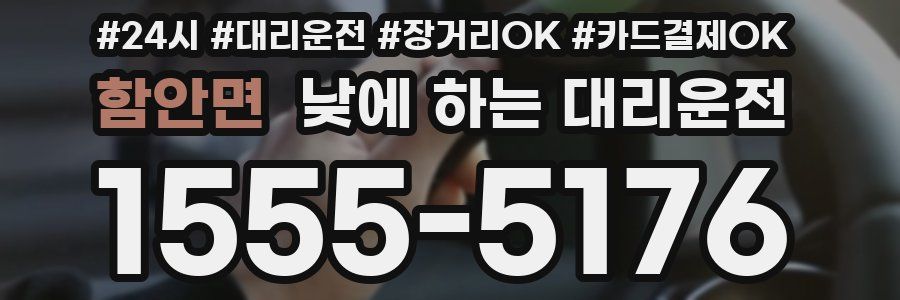 함안면 낮에 하는 대리운전