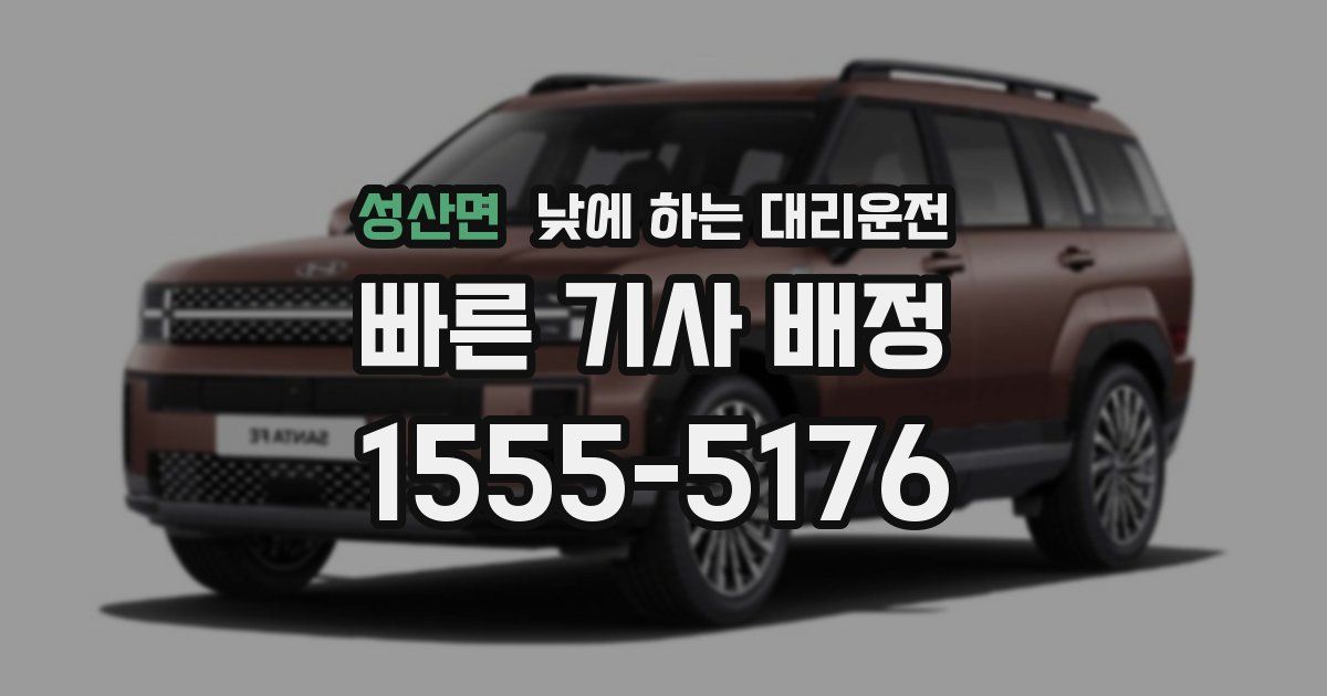 성산면 낮에 하는 대리운전