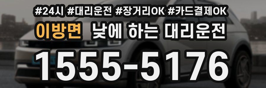 이방면 낮에 하는 대리운전