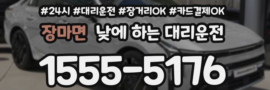 장마면 낮에 하는 대리운전