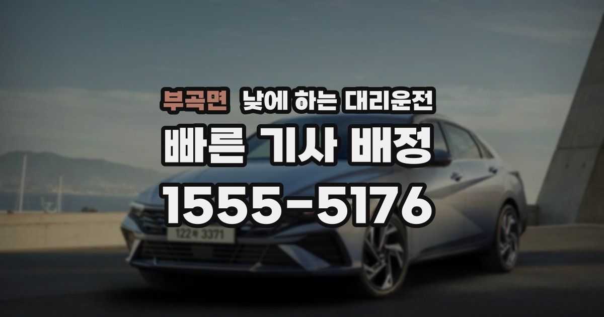 부곡면 낮에 하는 대리운전