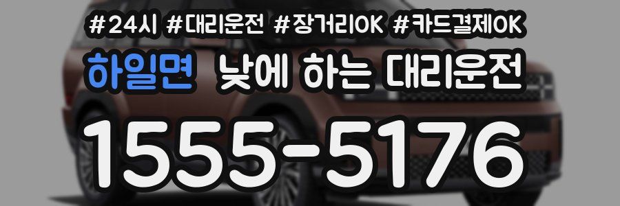하일면 낮에 하는 대리운전