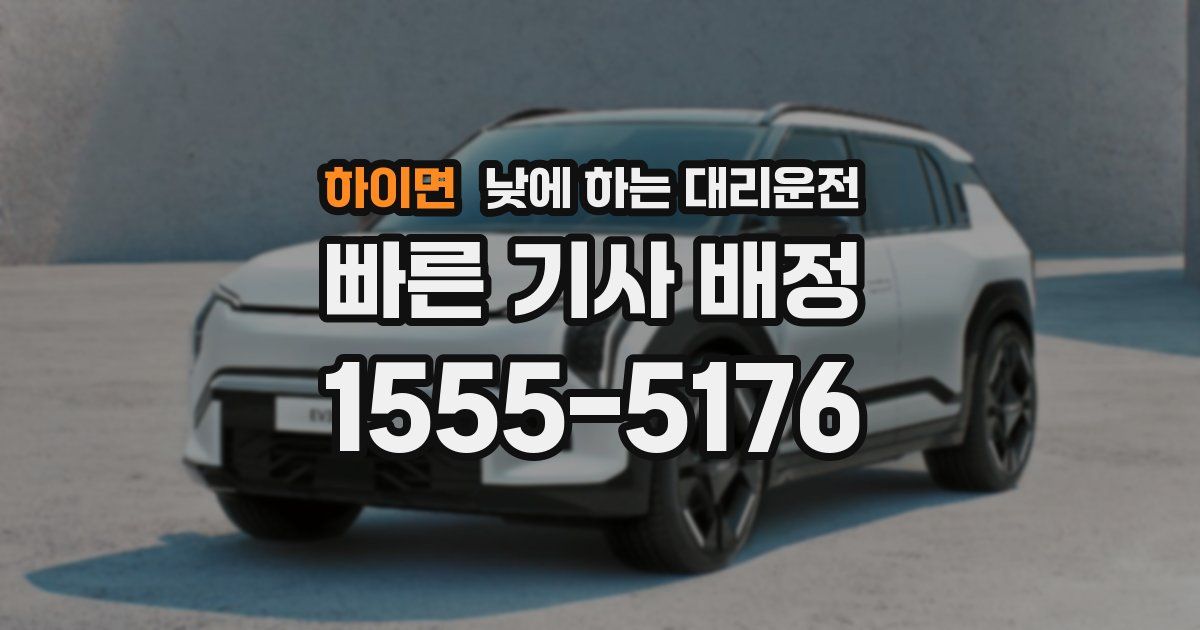 하이면 낮에 하는 대리운전