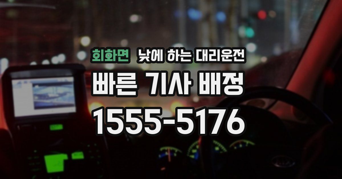 회화면 낮에 하는 대리운전