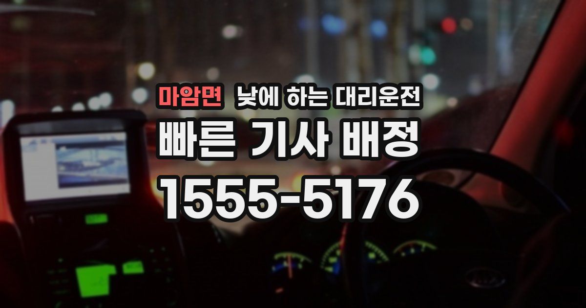 마암면 낮에 하는 대리운전