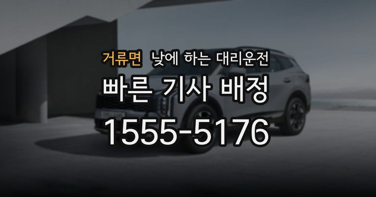 거류면 낮에 하는 대리운전