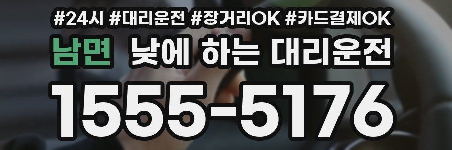 남면 낮에 하는 대리운전