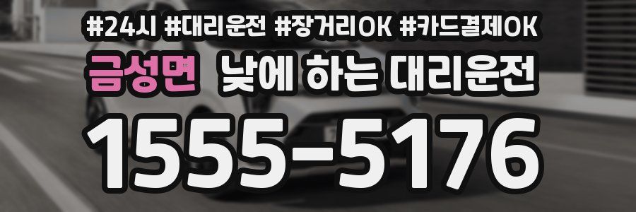 금성면 낮에 하는 대리운전
