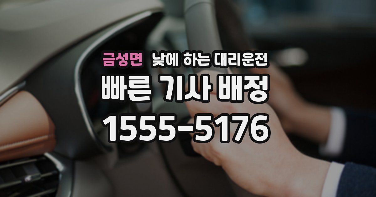 금성면 낮에 하는 대리운전