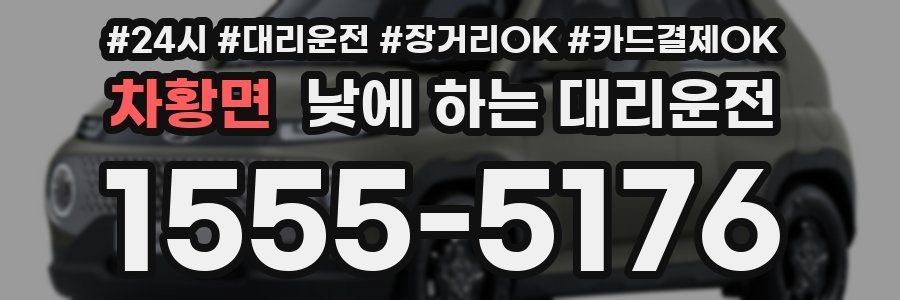 차황면 낮에 하는 대리운전