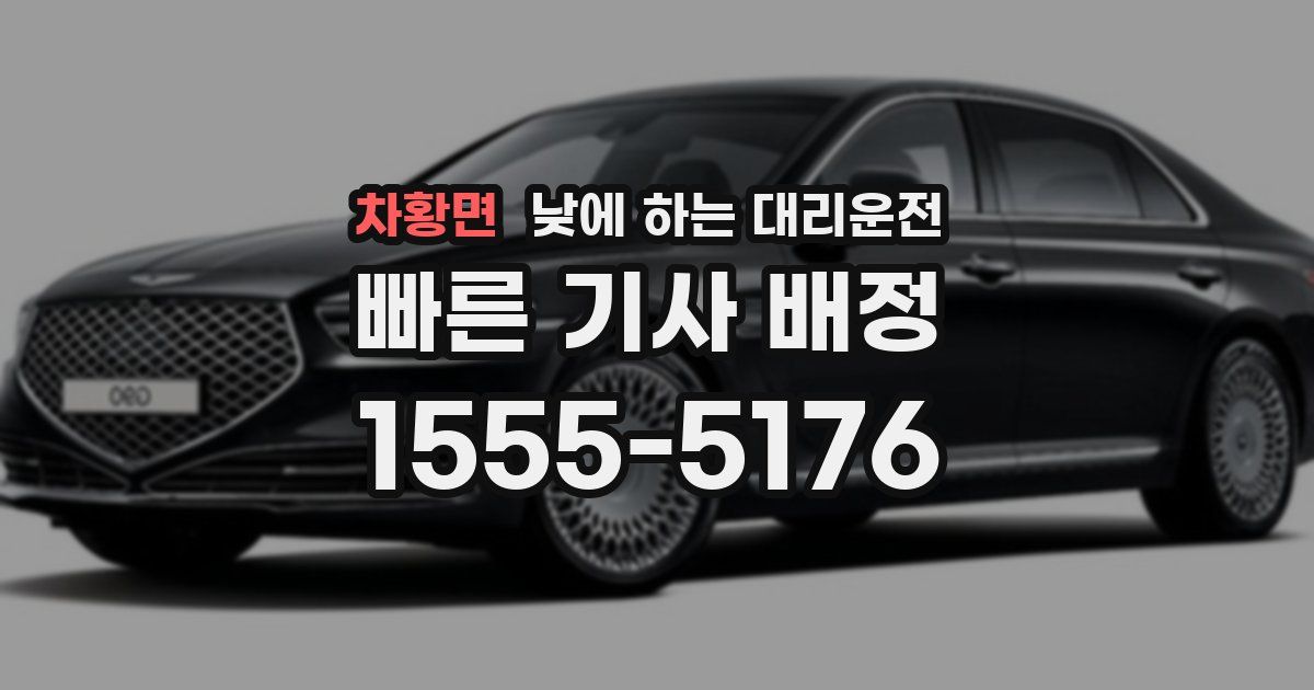 차황면 낮에 하는 대리운전