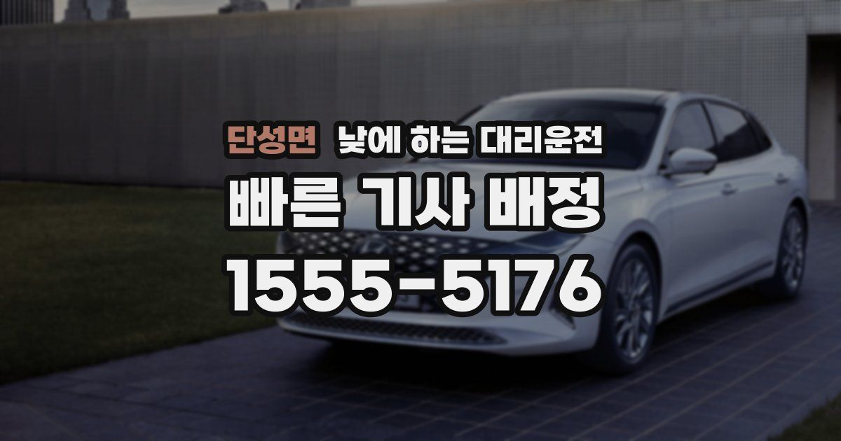 단성면 낮에 하는 대리운전