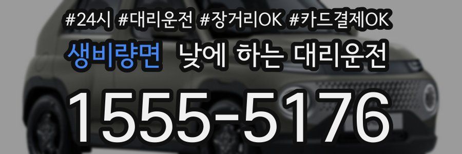 생비량면 낮에 하는 대리운전