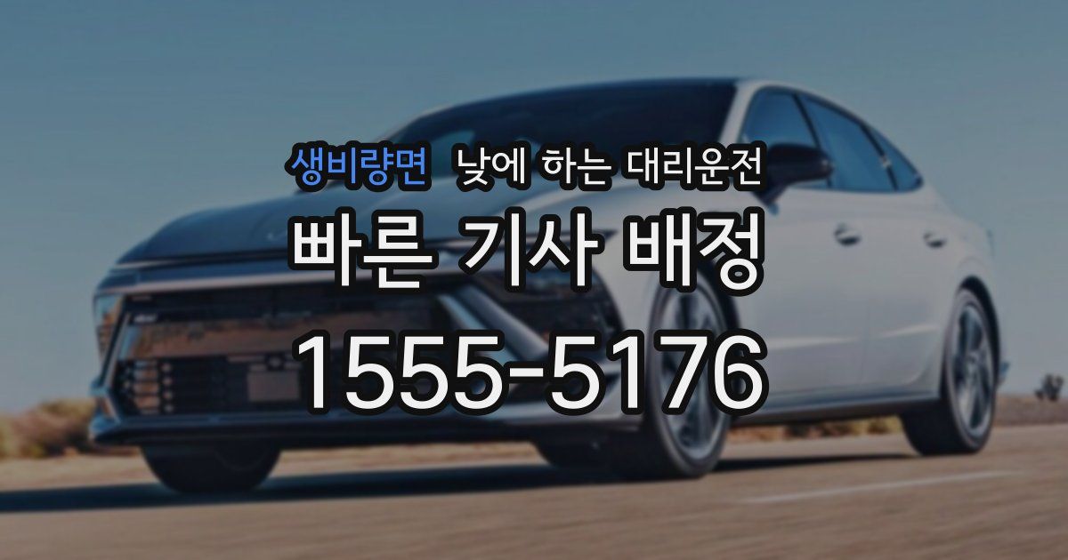 생비량면 낮에 하는 대리운전