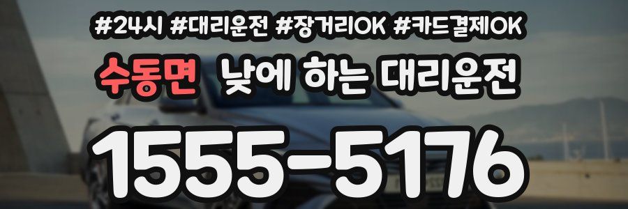 수동면 낮에 하는 대리운전