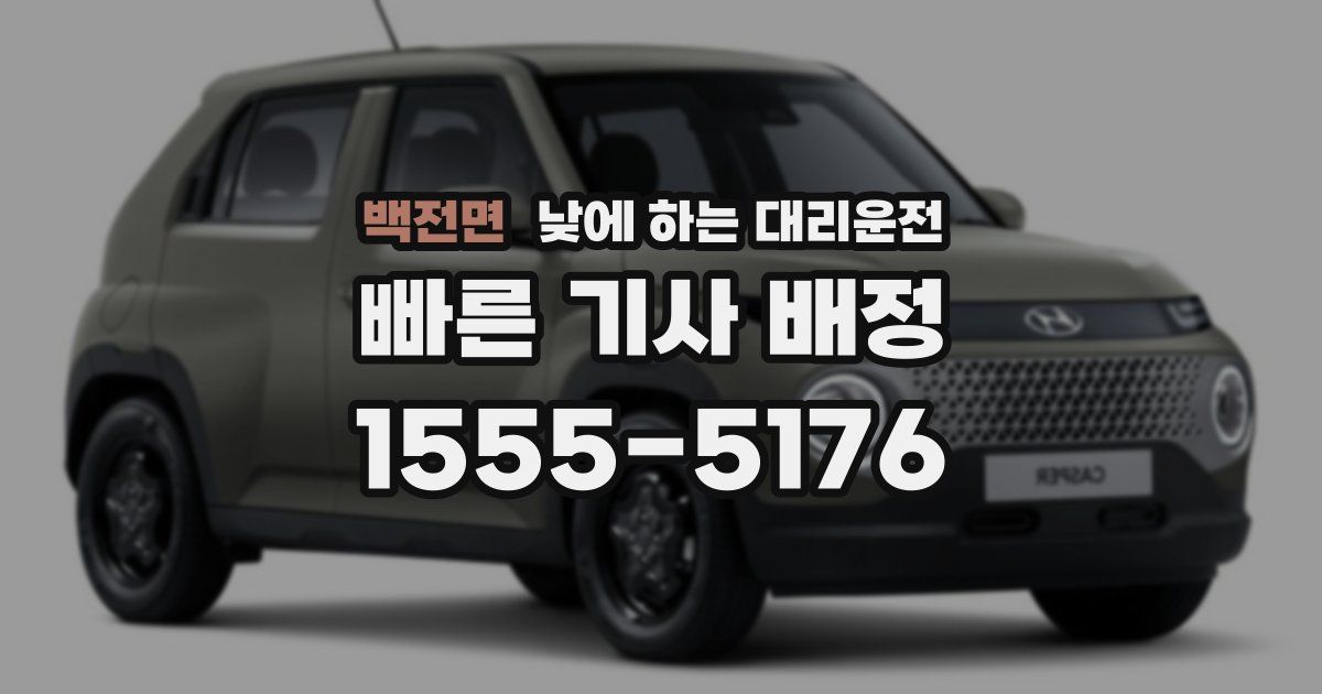 백전면 낮에 하는 대리운전