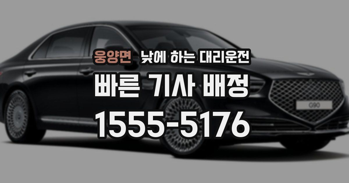 웅양면 낮에 하는 대리운전