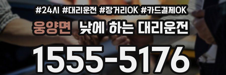웅양면 낮에 하는 대리운전
