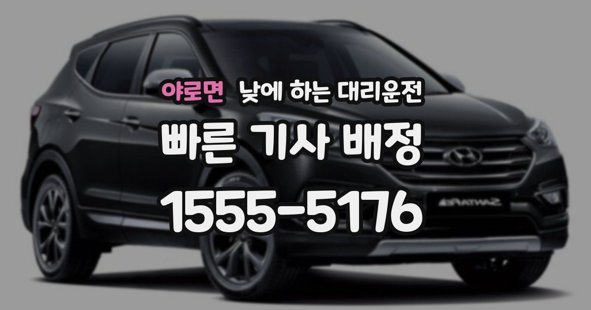 야로면 낮에 하는 대리운전