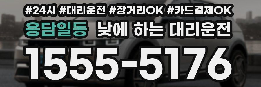 용담일동 낮에 하는 대리운전