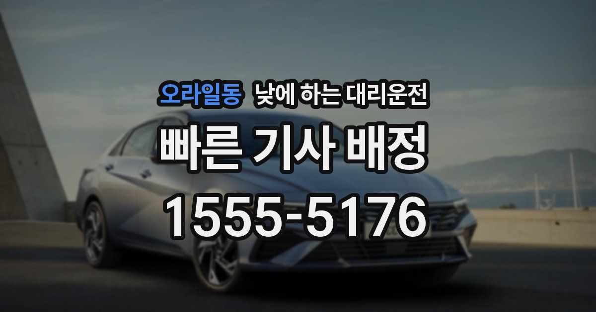 오라일동 낮에 하는 대리운전