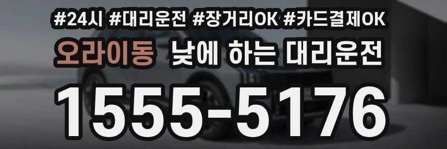 오라이동 낮에 하는 대리운전