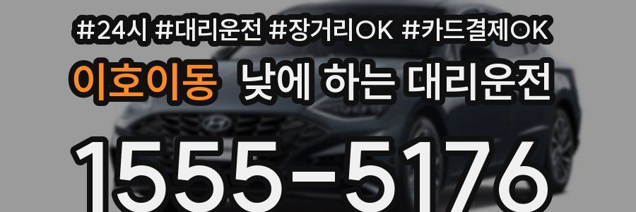 이호이동 낮에 하는 대리운전