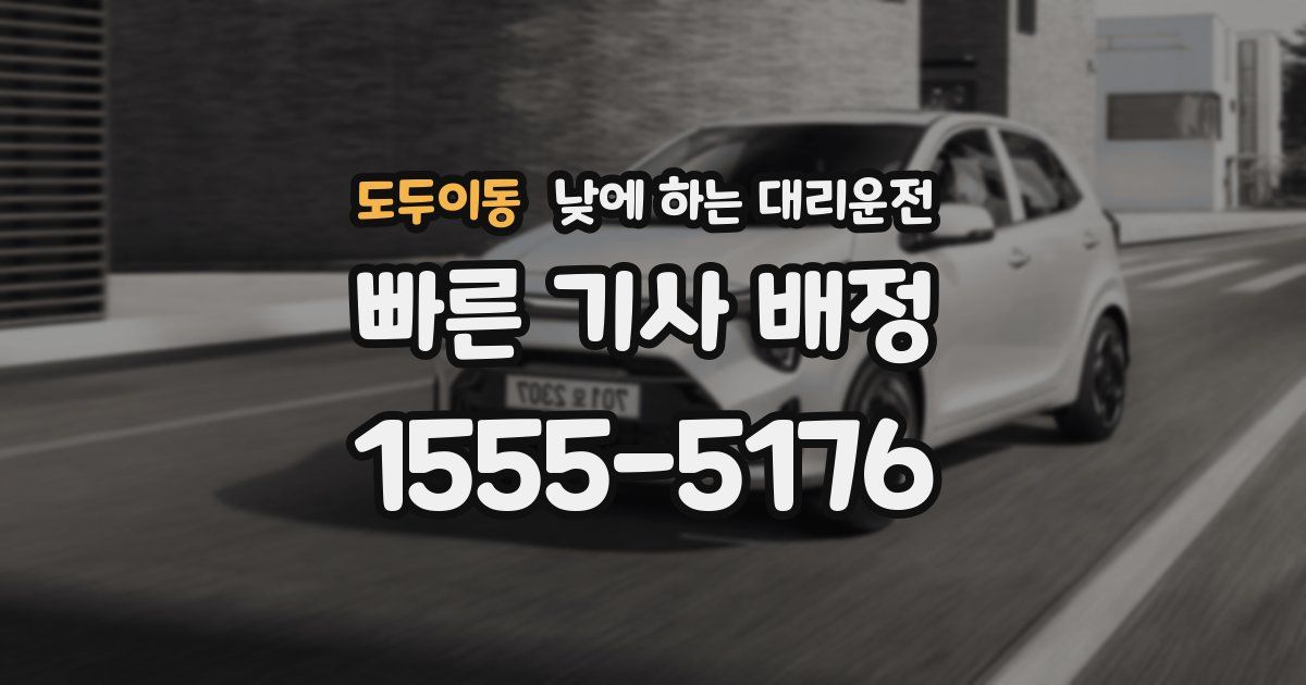 도두이동 낮에 하는 대리운전