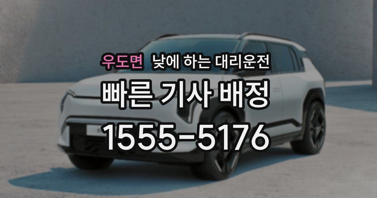 우도면 낮에 하는 대리운전