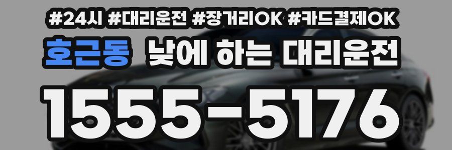호근동 낮에 하는 대리운전
